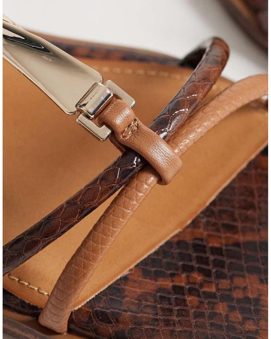 ALDO Brown Ebaeryn Flat Sandal