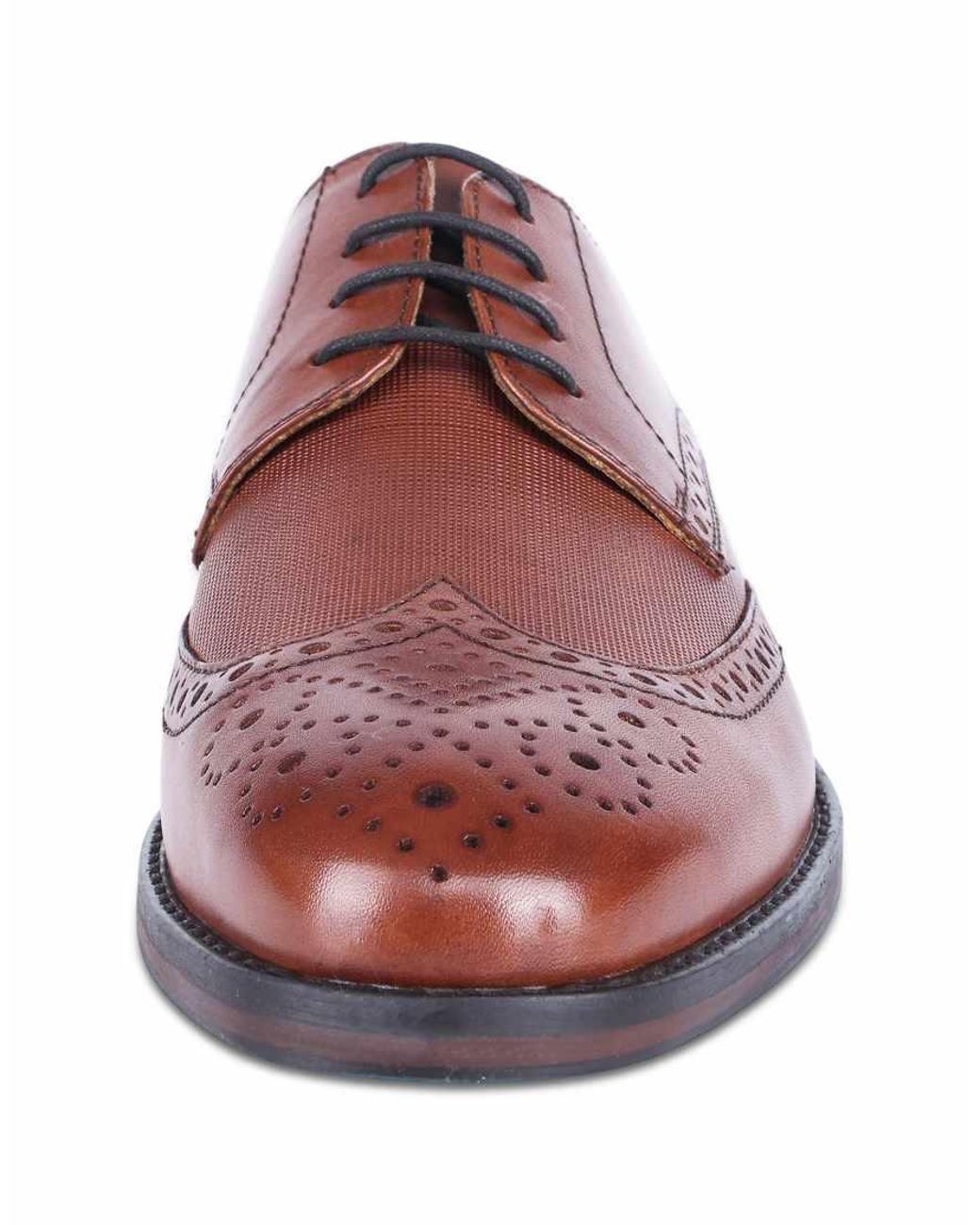 Thomas Crick Brown Archer Leather Lace-Up Brogue Derby Shoes for men