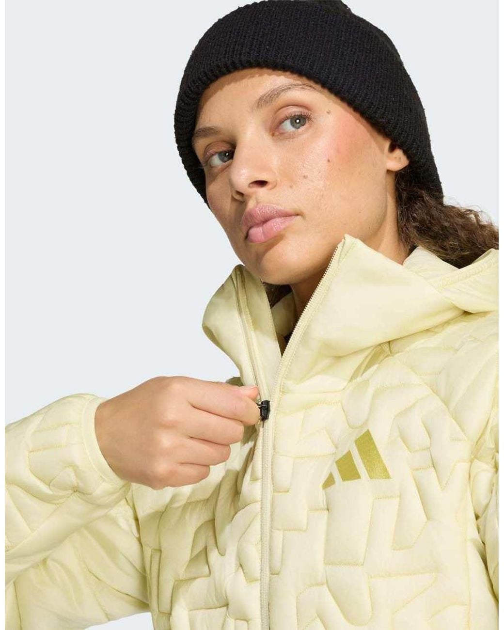 Adidas Originals Natural Terrex Xperior Primaloft Loose Fill Insulated Hooded Jacket