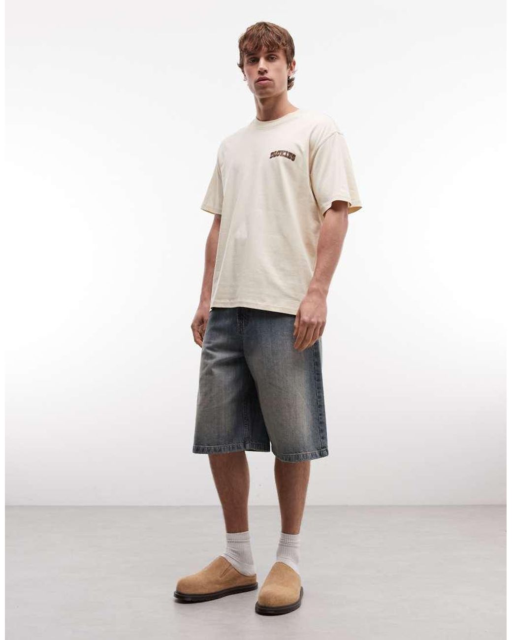 Dickies Gray Elk Ridge Backprint T-shirt for men