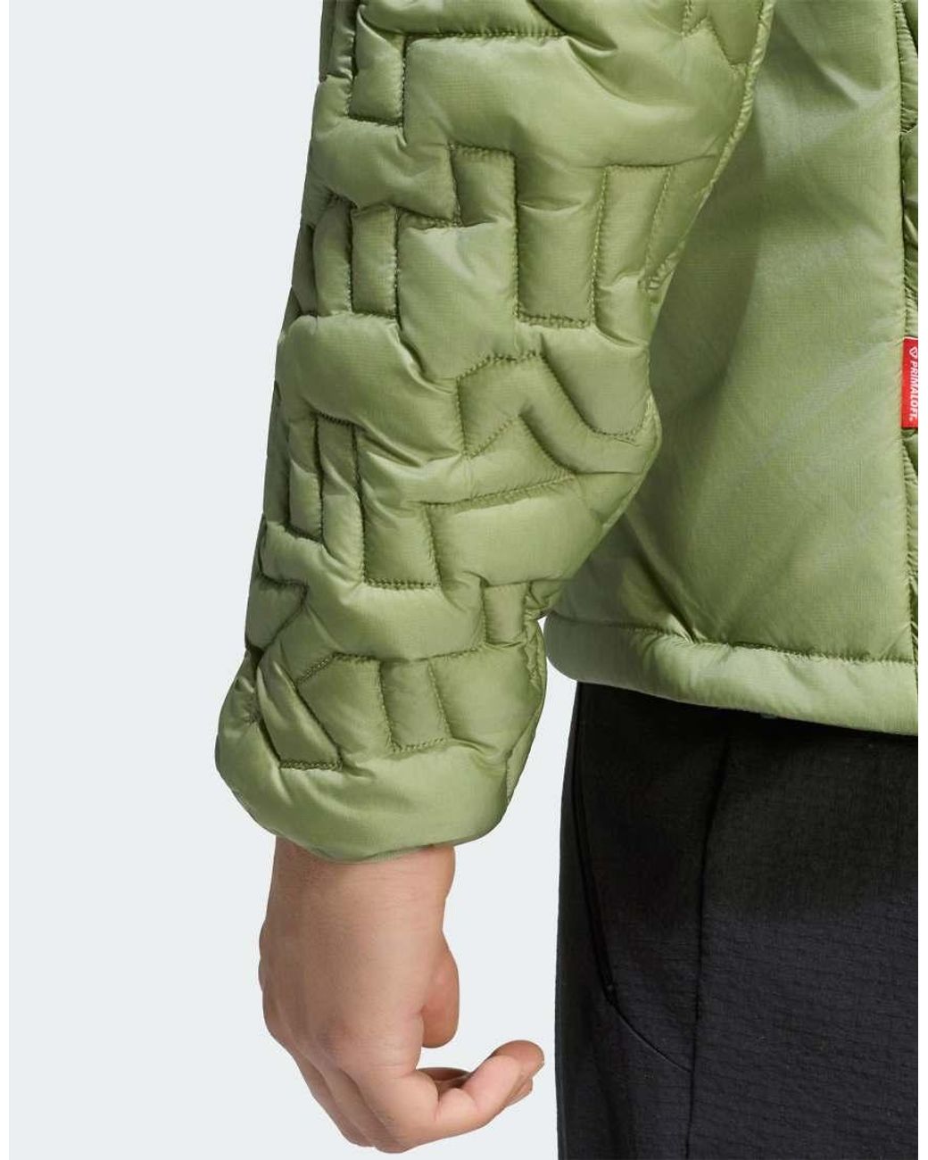 Adidas Originals Green Terrex Xperior Primaloft Loose Fill Insulated Hooded Jacket for men