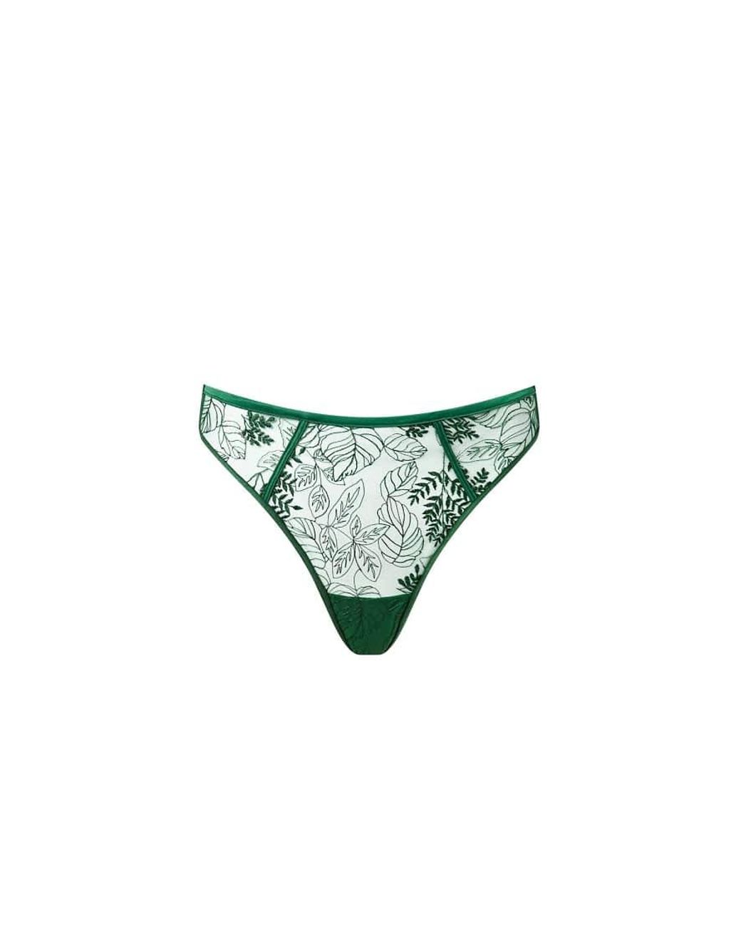 Bluebella Green Seraphim Embroidered Sheer High-Waist Thong