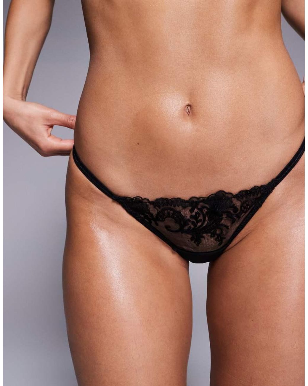 Bluebella Black Marseille Embroidered Mesh Brief