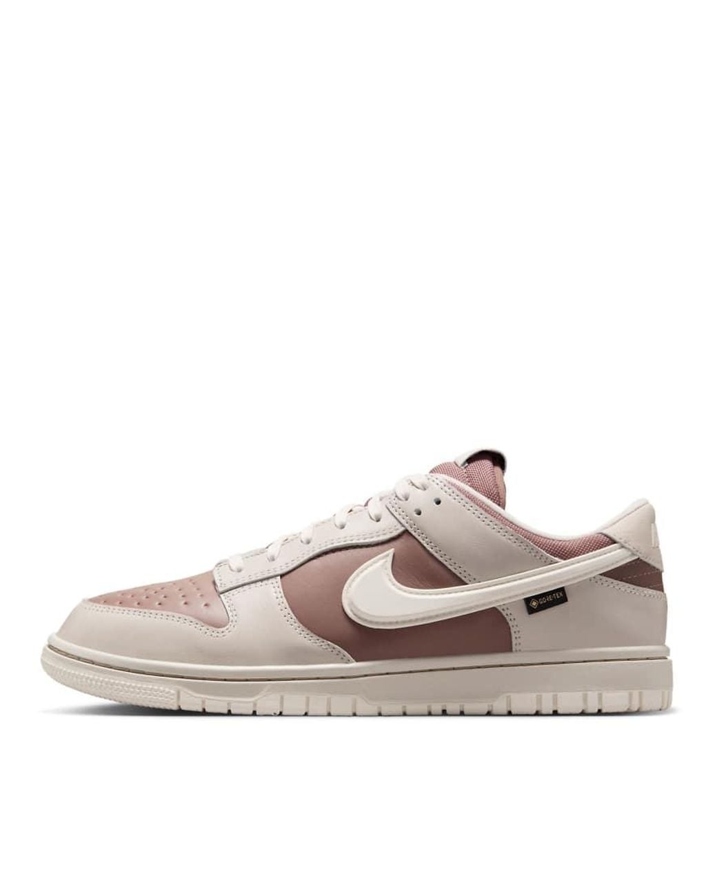 Nike Brown Dunk Low Gore-Tex Trainers for men