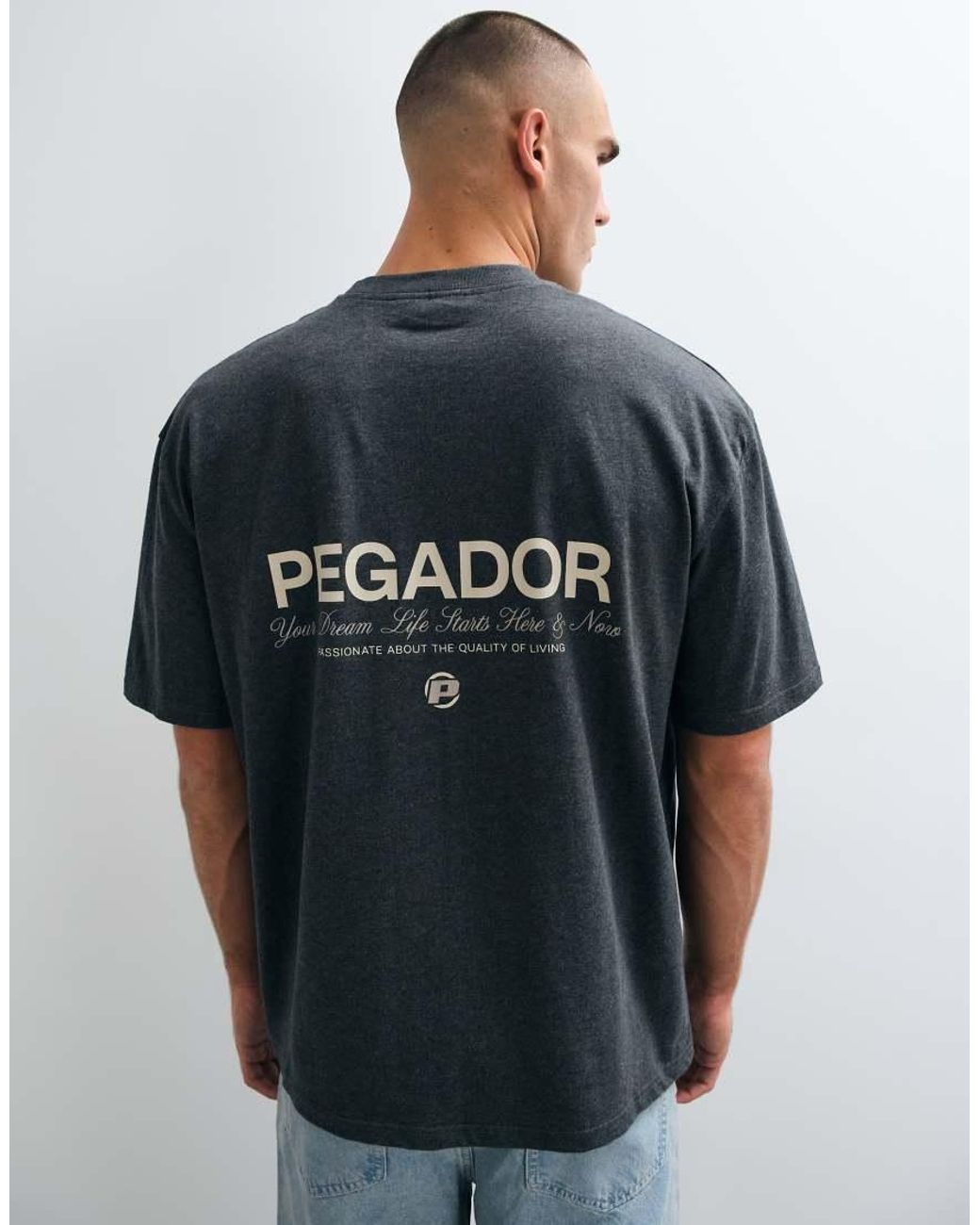 PEGADOR Blue Pitigliano Oversized Short Sleeve T-shirt With Back Print Logo for men