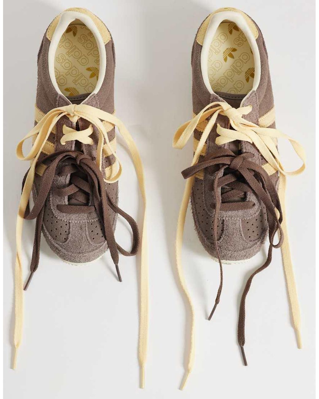Adidas Originals Brown Japan Trainers