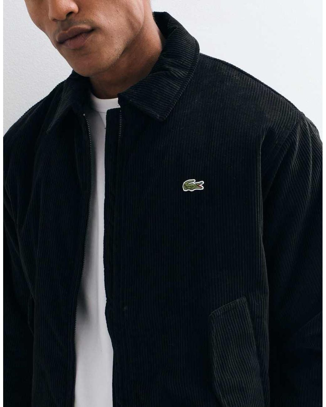 Lacoste Blue Padded Cord Aviator Jacket for men