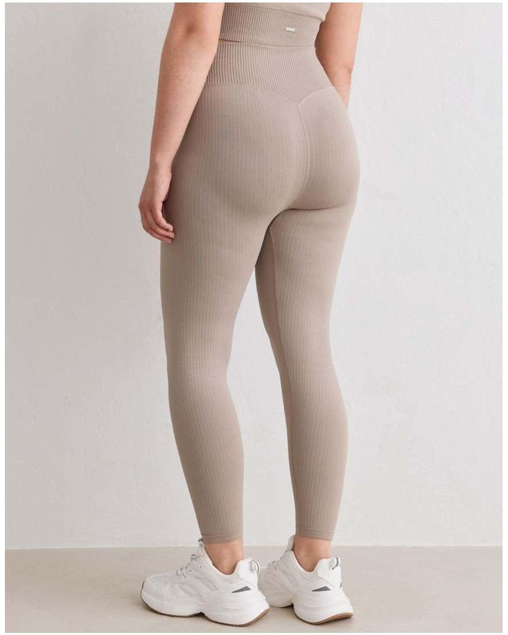 Aim'n White Dark Clay Ribbed Seamless Petite Tights