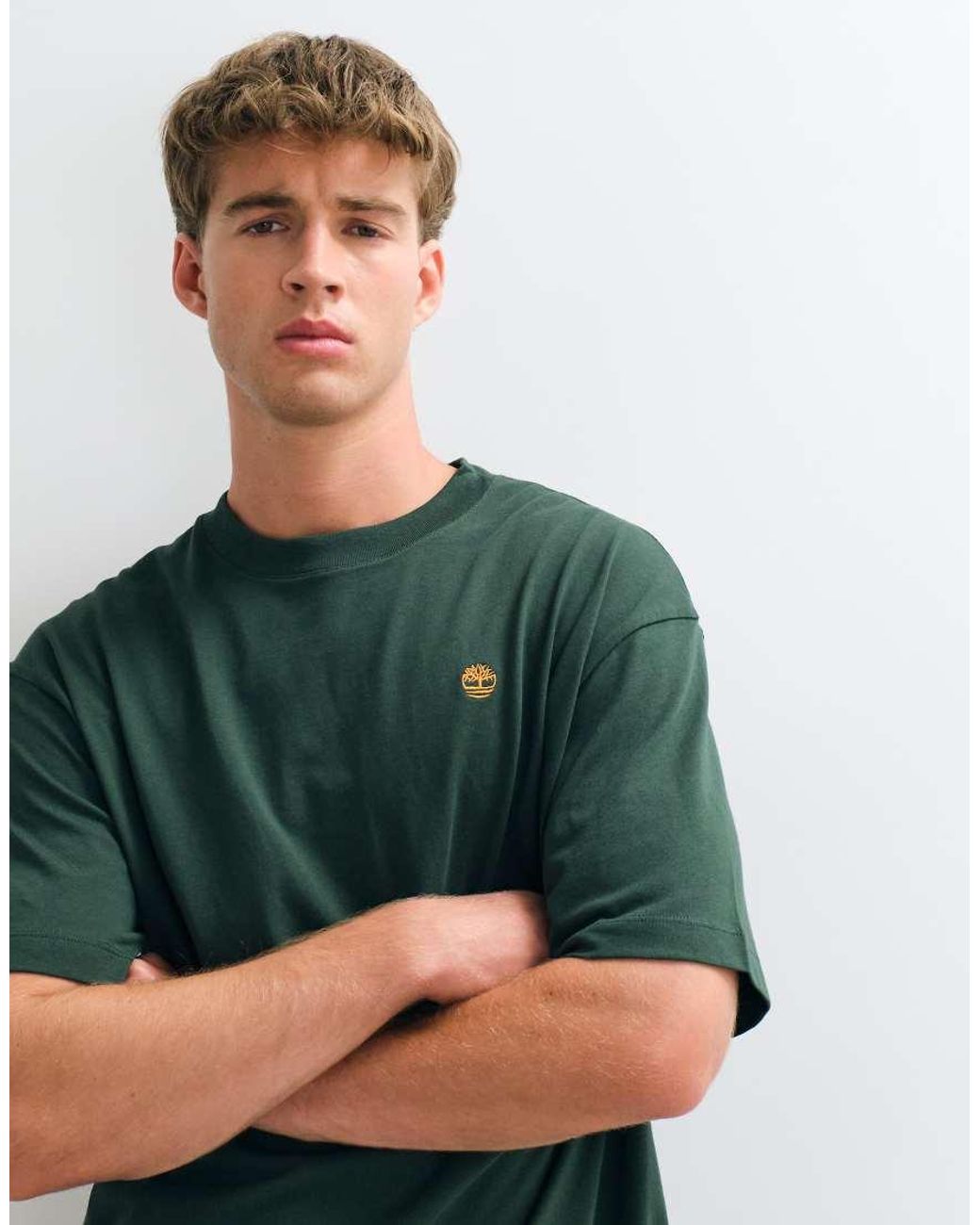 Timberland Green Short Sleeves Tee (Relaxed) for men