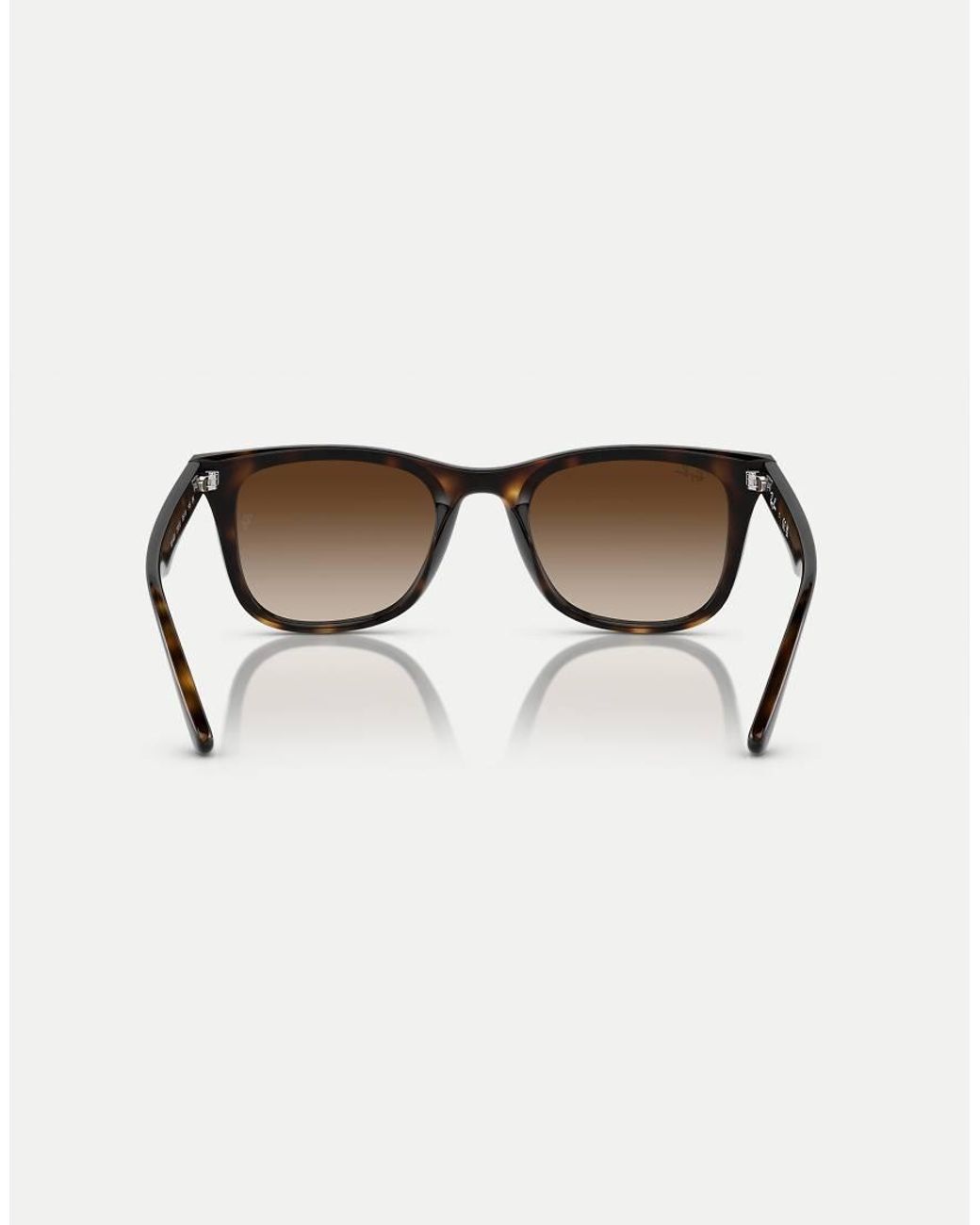 Ray-Ban Brown Sunglasses