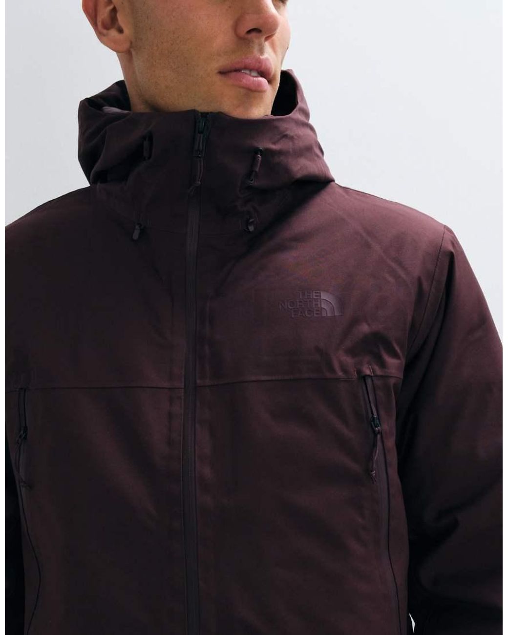 The North Face Blue Mountain Range Down Hooded Jacket for men