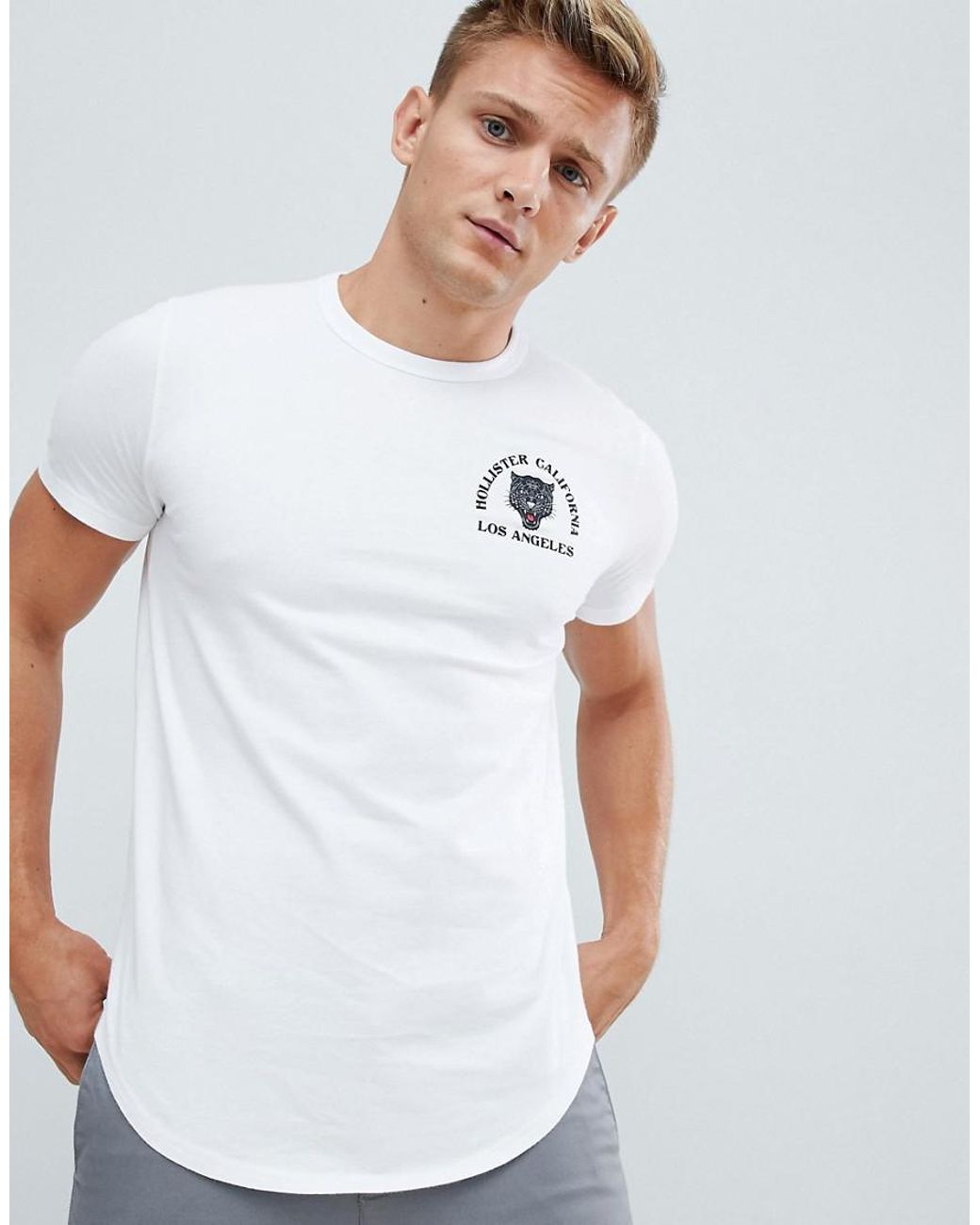 Hollister Tiger Logo T-shirt In White for Men | Lyst