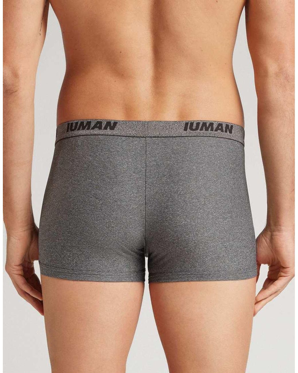 Intimissimi Gray Microfibre Boxers With Logo for men