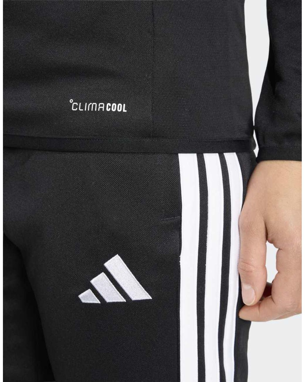 Adidas Originals Blue Tiro26 League Training Top