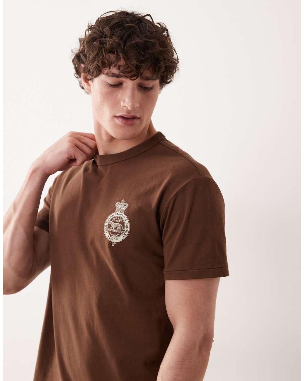 Polo Ralph Lauren Brown Heavyweight Crest Back Print T-shirt for men