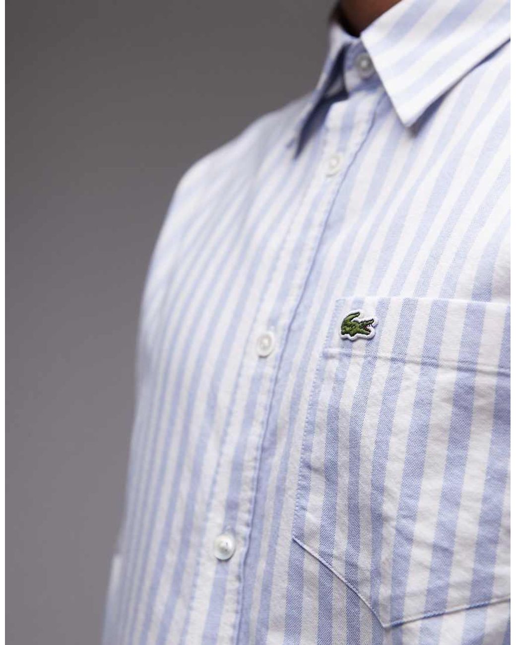 Lacoste Gray Stripe Shirt for men