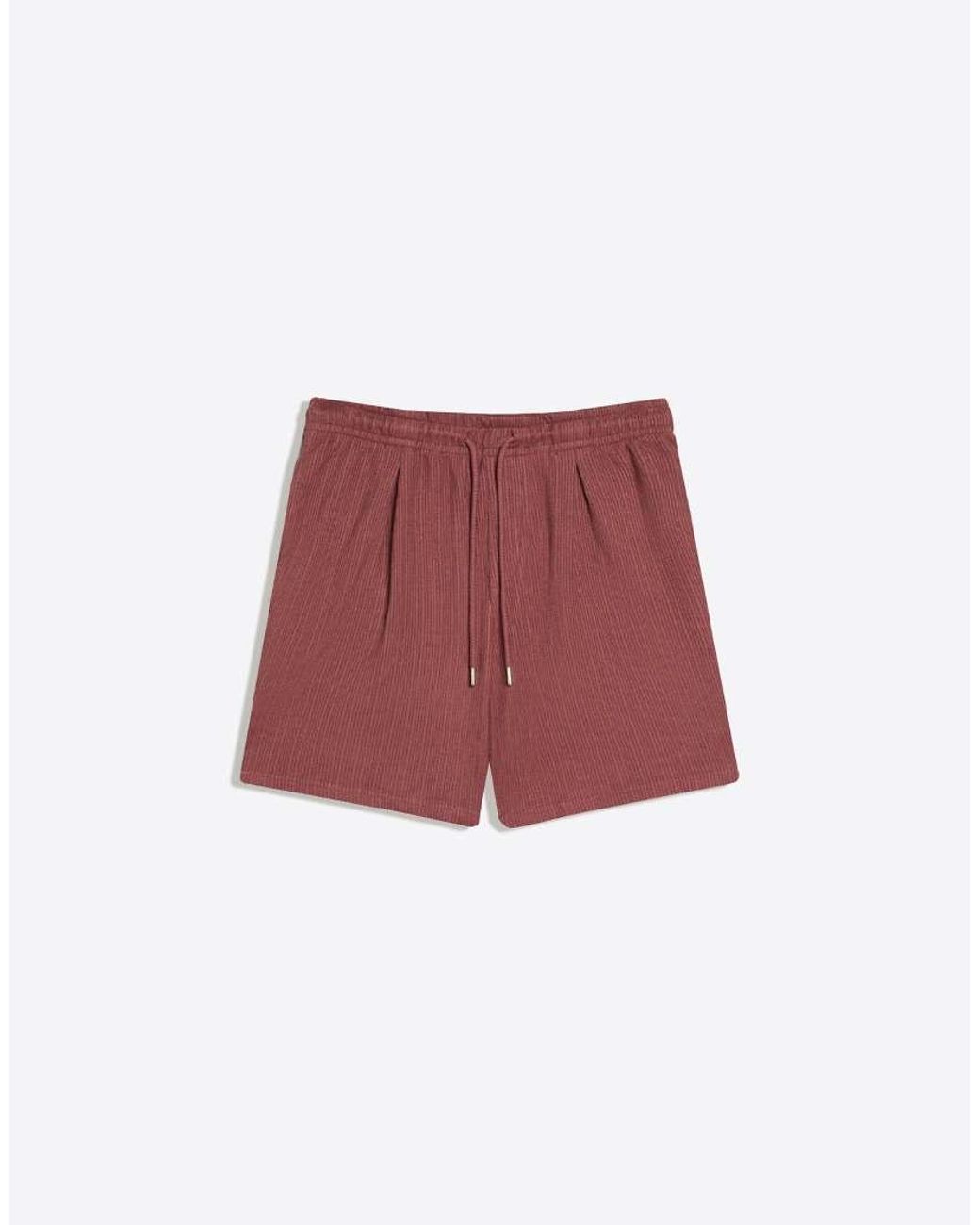 Bershka Purple Textured Plush Bermuda Shorts for men