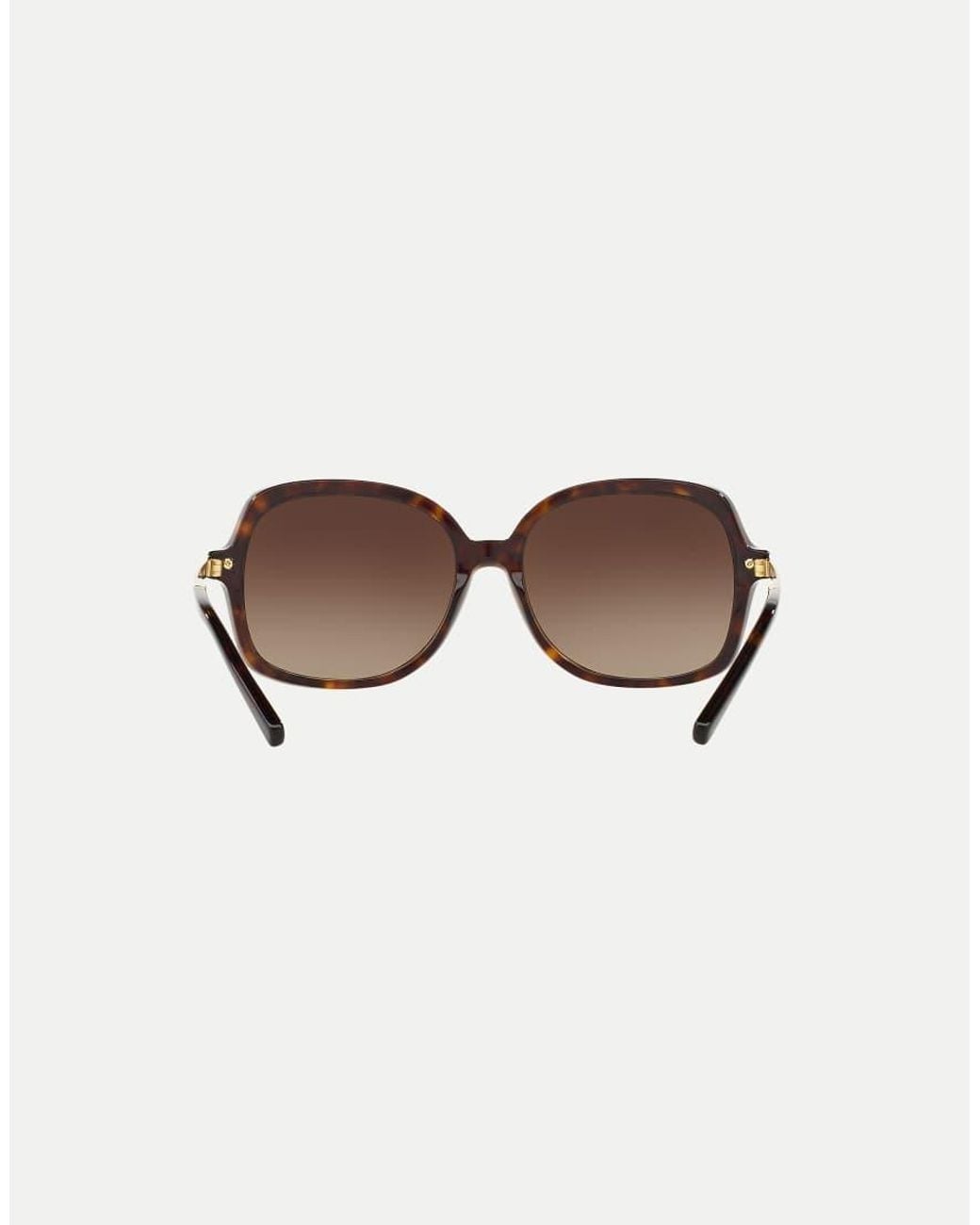 Michael Kors Brown Adrianna Ii Square Sunglasses With Lens