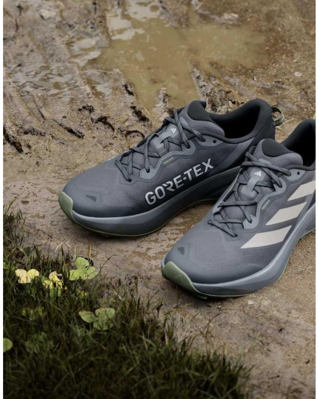 Adidas Originals Multicolor Terrex Tracefinder Plus Gore-tex Trail Running Trainers for men