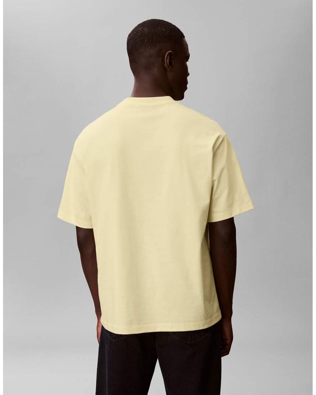 Calvin Klein Natural Relaxed Fit Graphic T-shirt for men