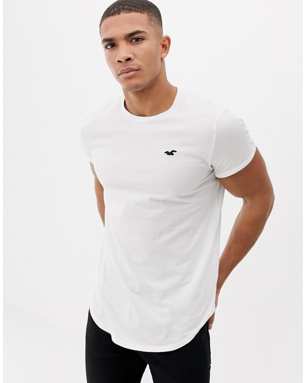 Hollister Solid Curved Hem T-shirt Seagull Logo Slim Fit in White