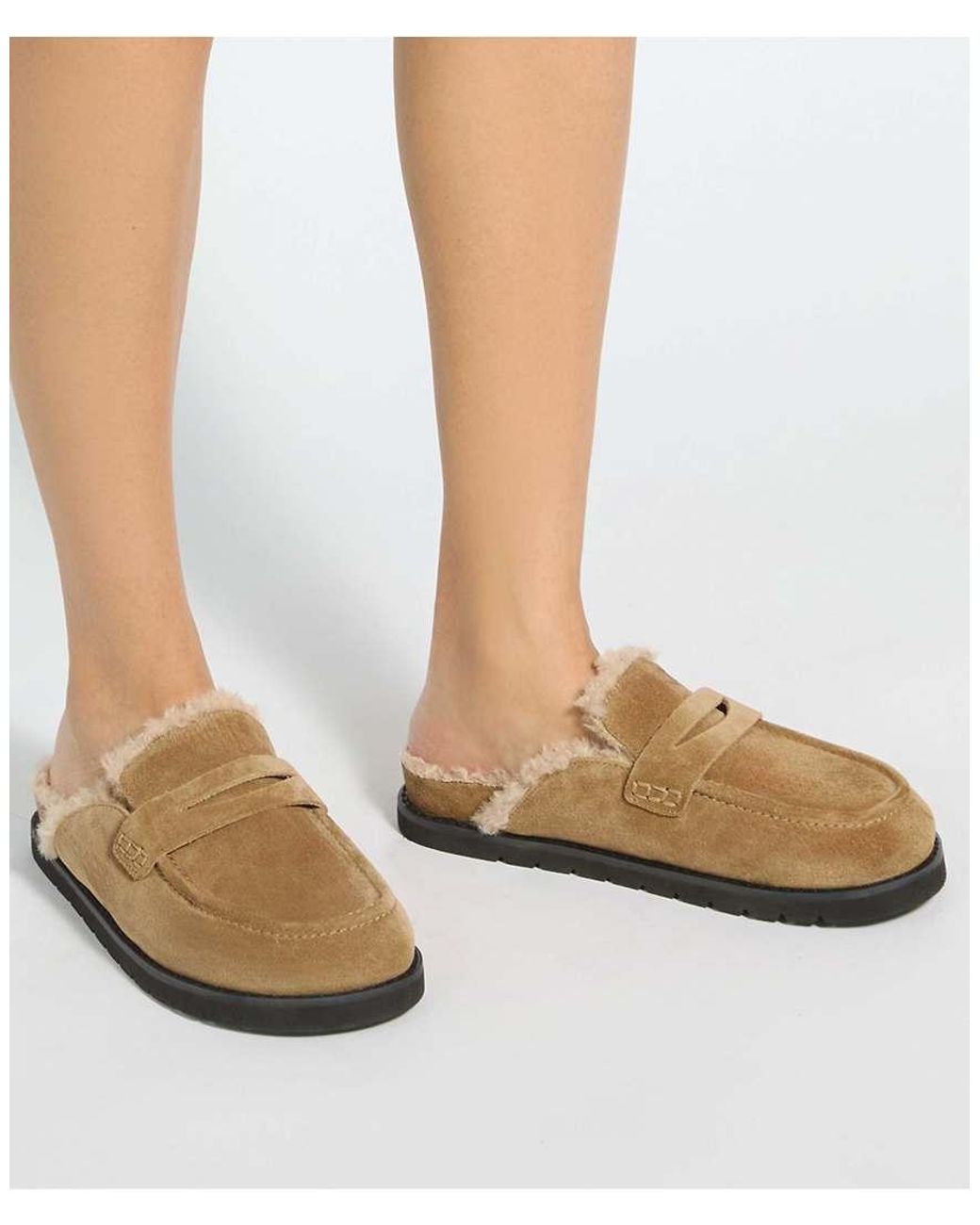 Dune Brown Goldy Mules