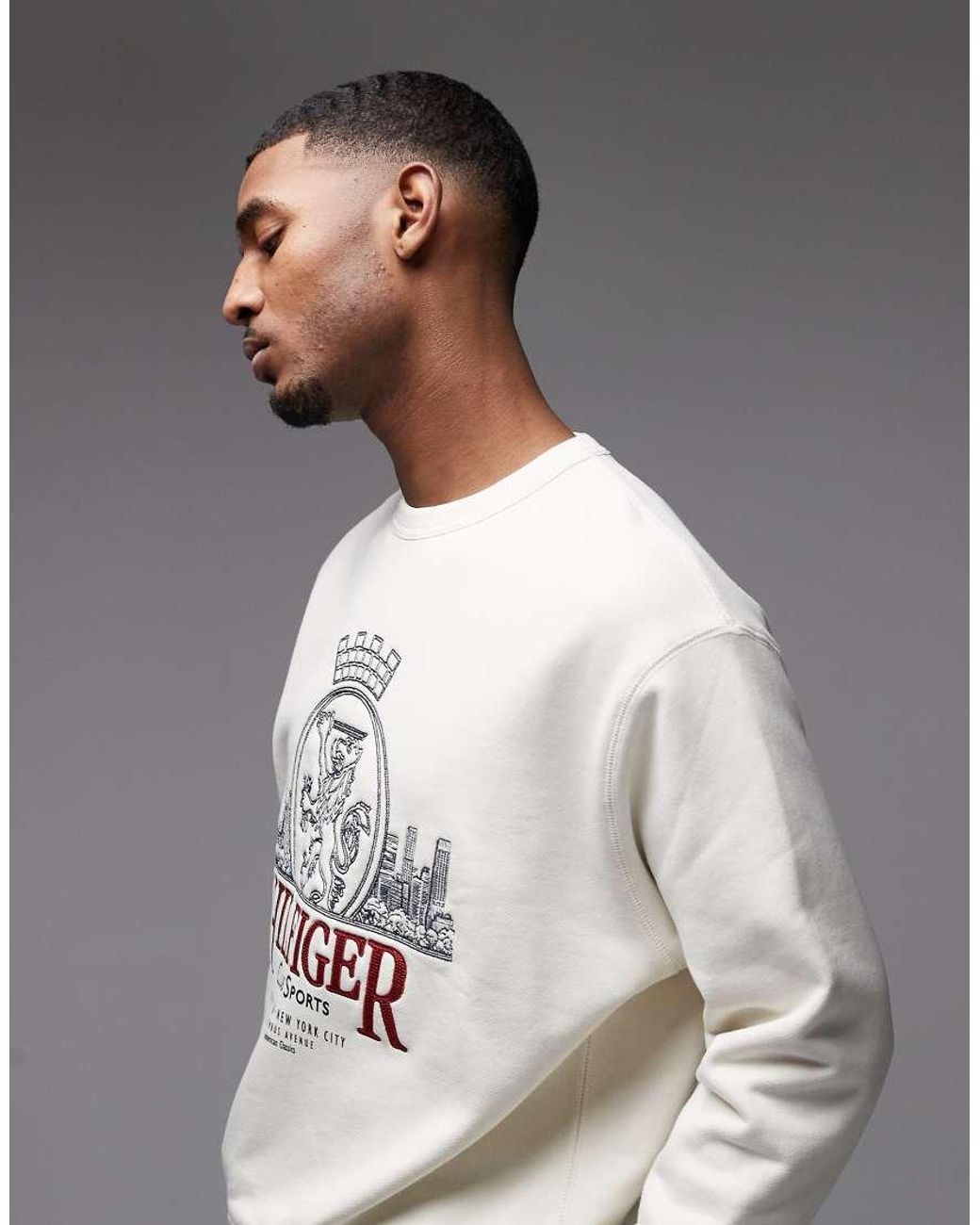 Tommy Hilfiger Gray Heritage Crest Crewneck Sweatshirt for men