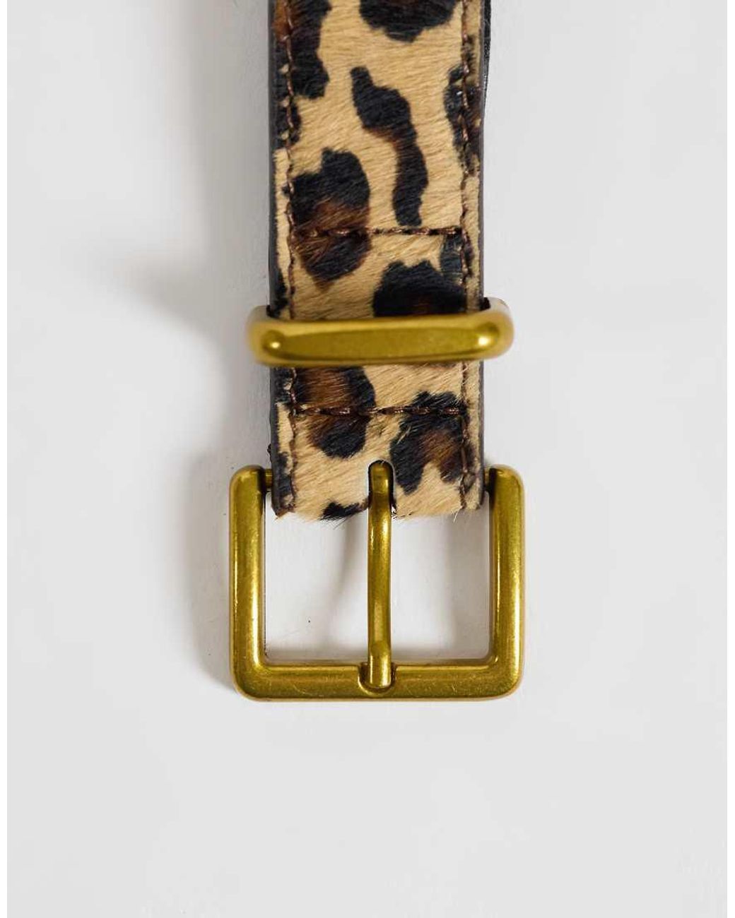 ASOS Brown Asos Design Curve Hair On Leather Belt With Square Buckle