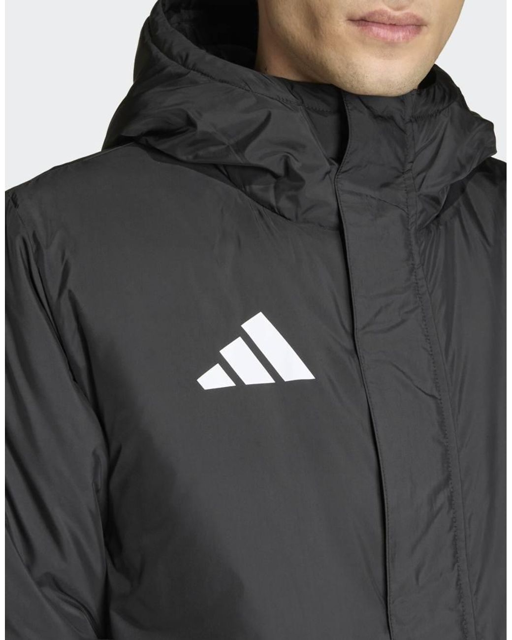 Adidas Originals Gray Entrada26 Stadium Jacket for men