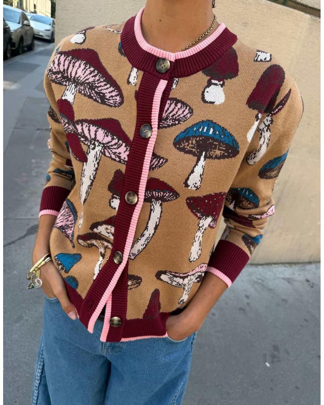 Never Fully Dressed Multicolor Knit Crew Neck Cardigan