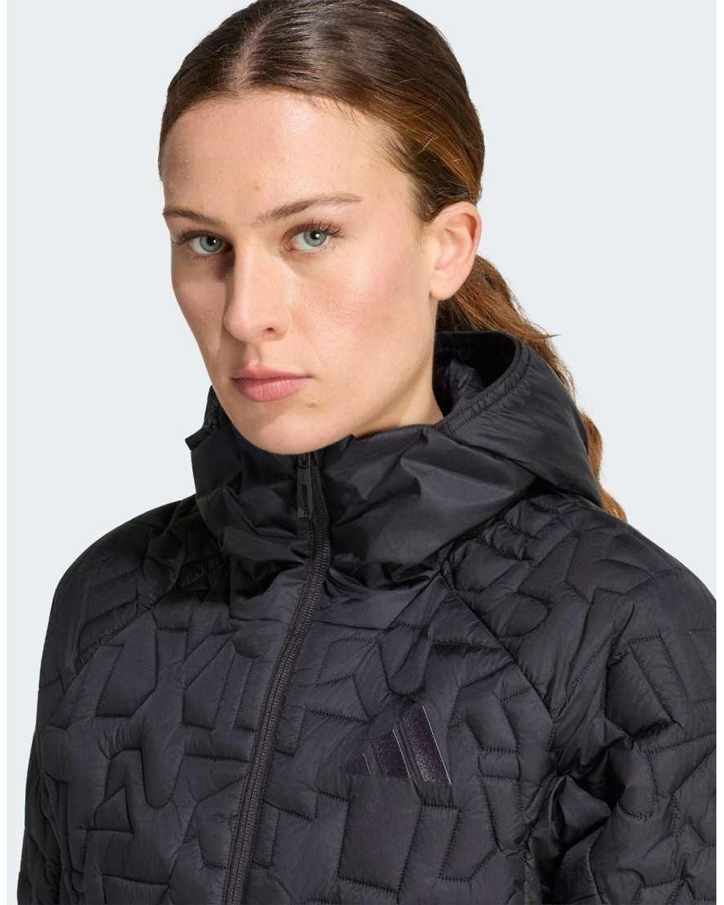 Adidas Originals Gray Terrex Xperior Primaloft Loose Fill Insulated Hooded Jacket