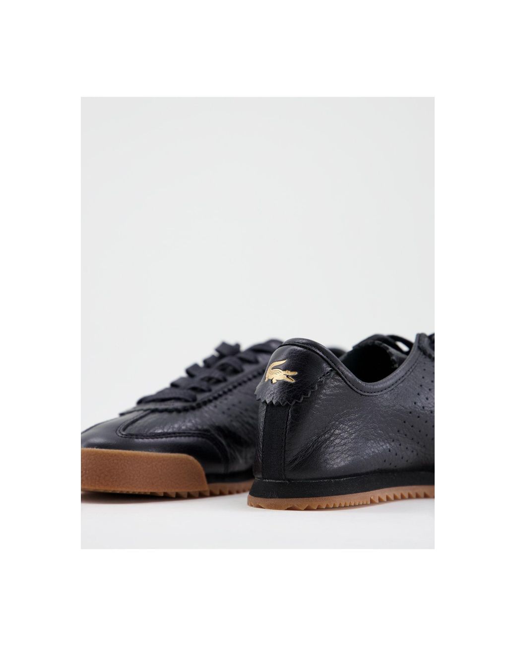 lacoste ascenta