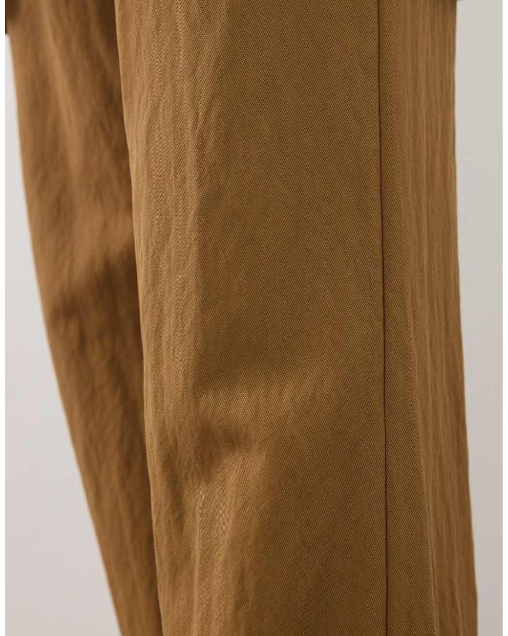 Plan di Mango in Natural