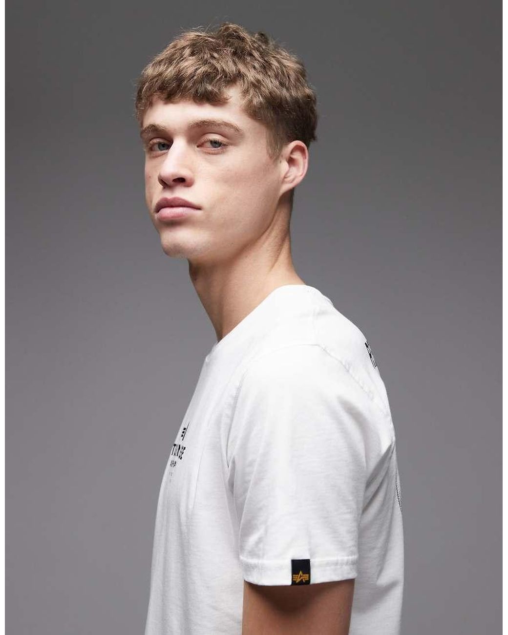 Alpha Industries Gray T-shirt With Return To Base Back Print for men