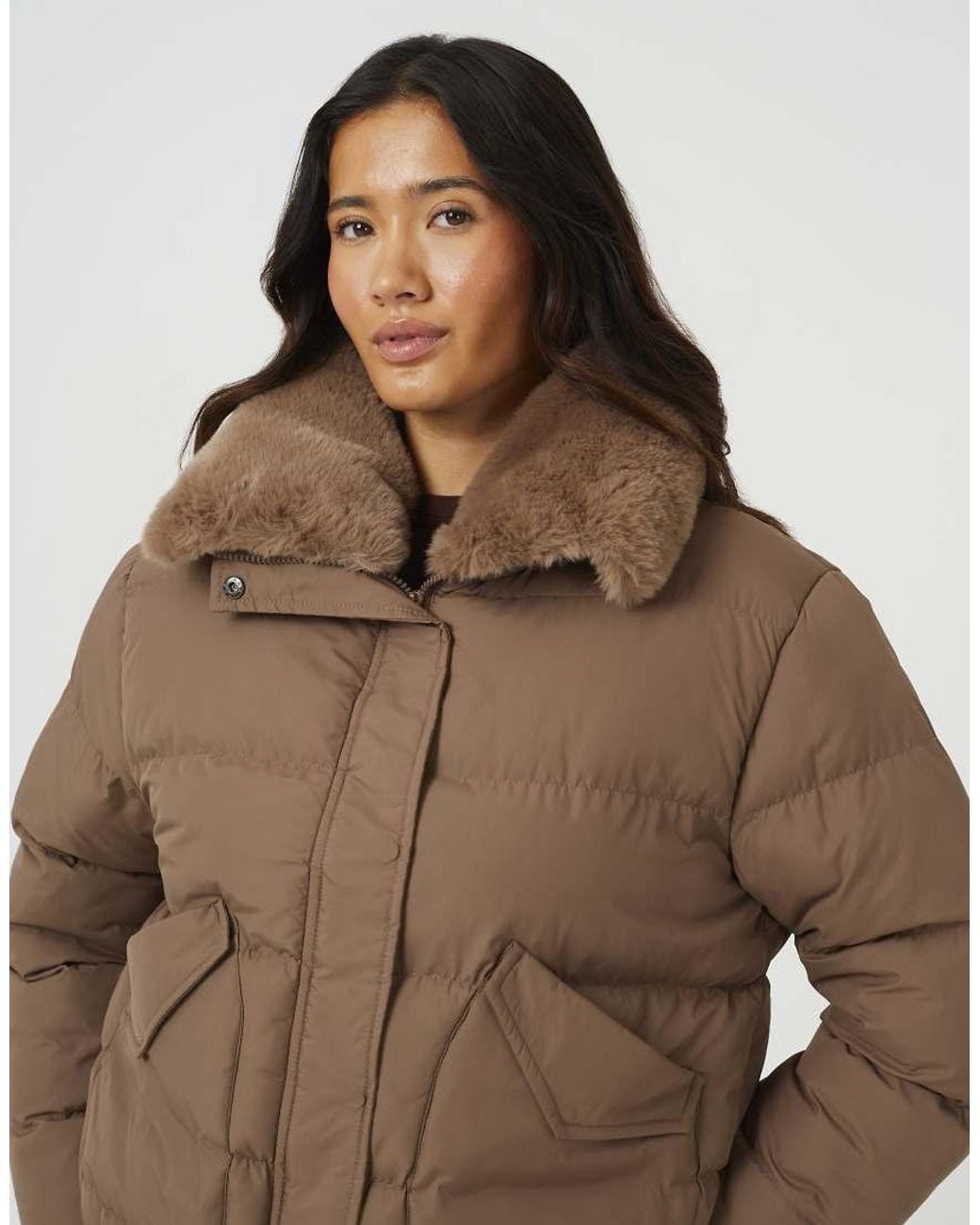 Brave Soul Brown Short Padded Jacket With Detachable Collar