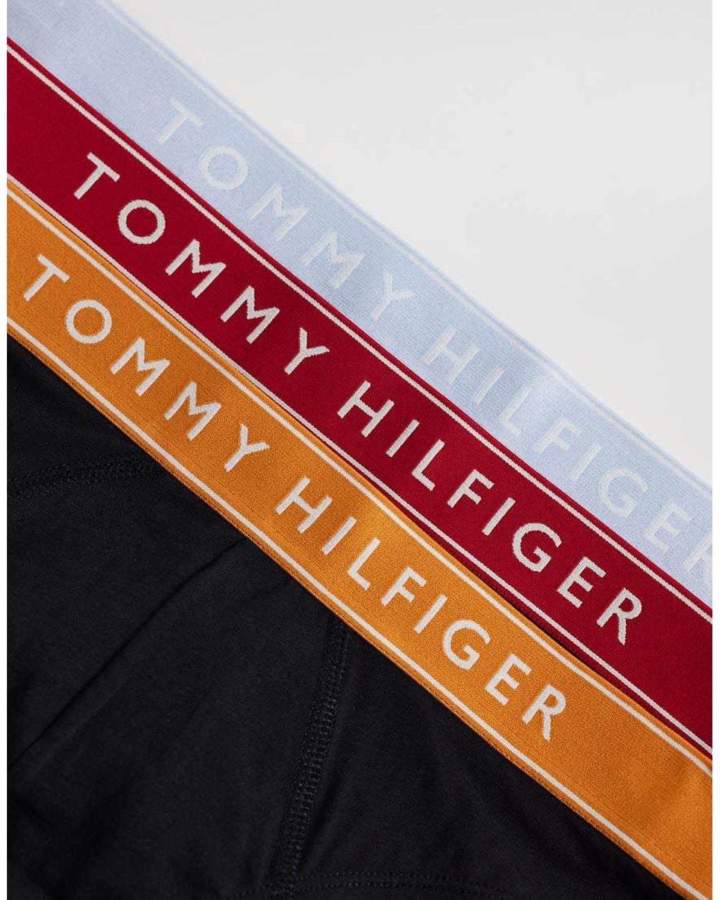 Tommy Hilfiger Blue Everyday Essentials 3-pack Briefs for men