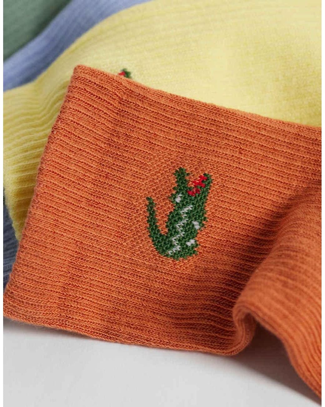 Lacoste Blue 6 Pack Croc Logo Long Coloured Sports Socks for men