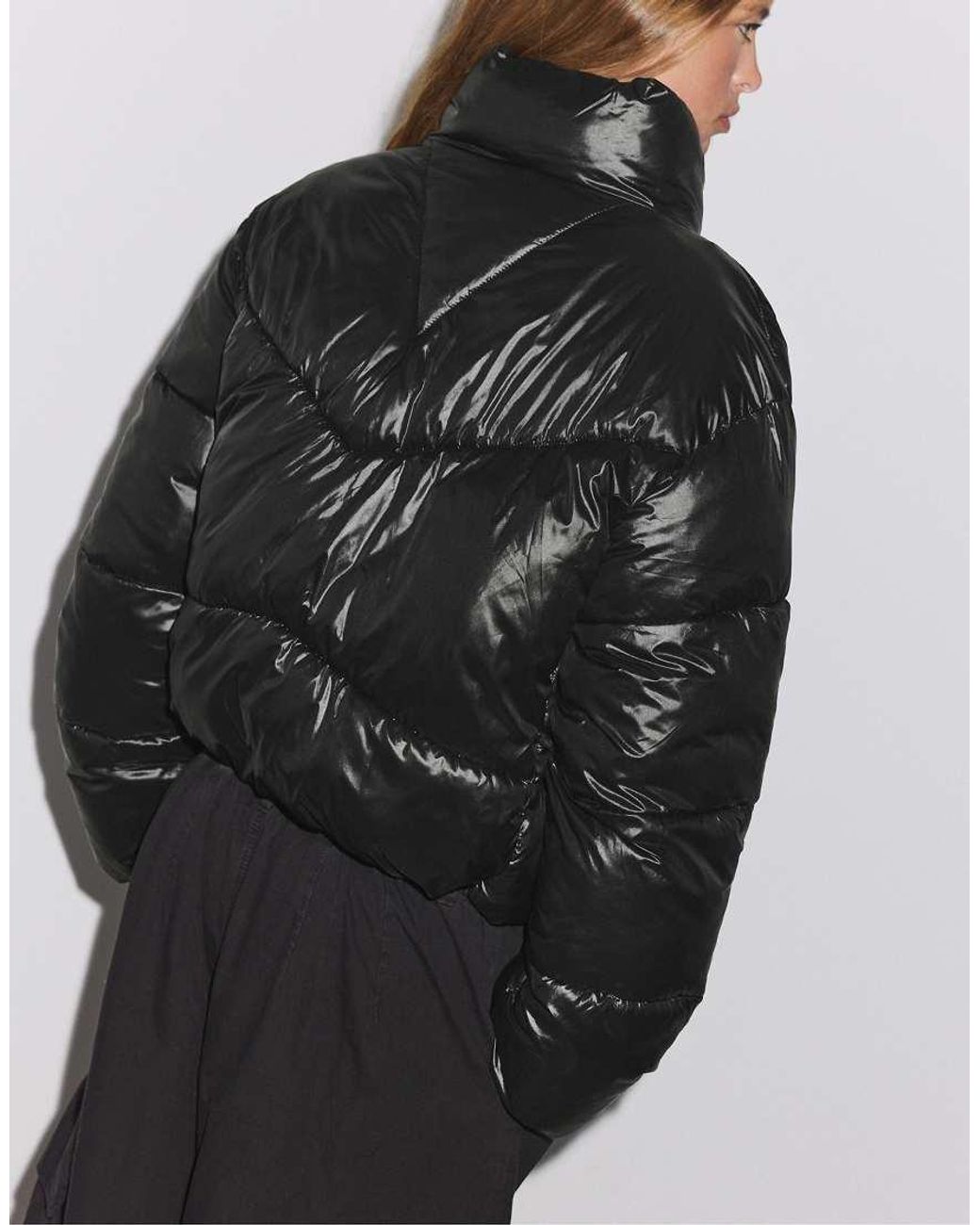 Stradivarius Black Cropped High Neck Padded Jacket