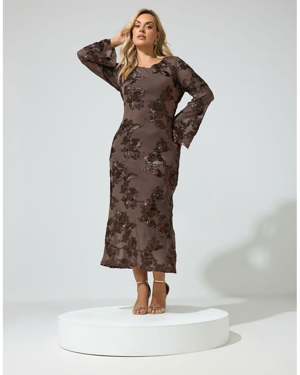Yours Clothing Brown Floral Applique Maxi Dress