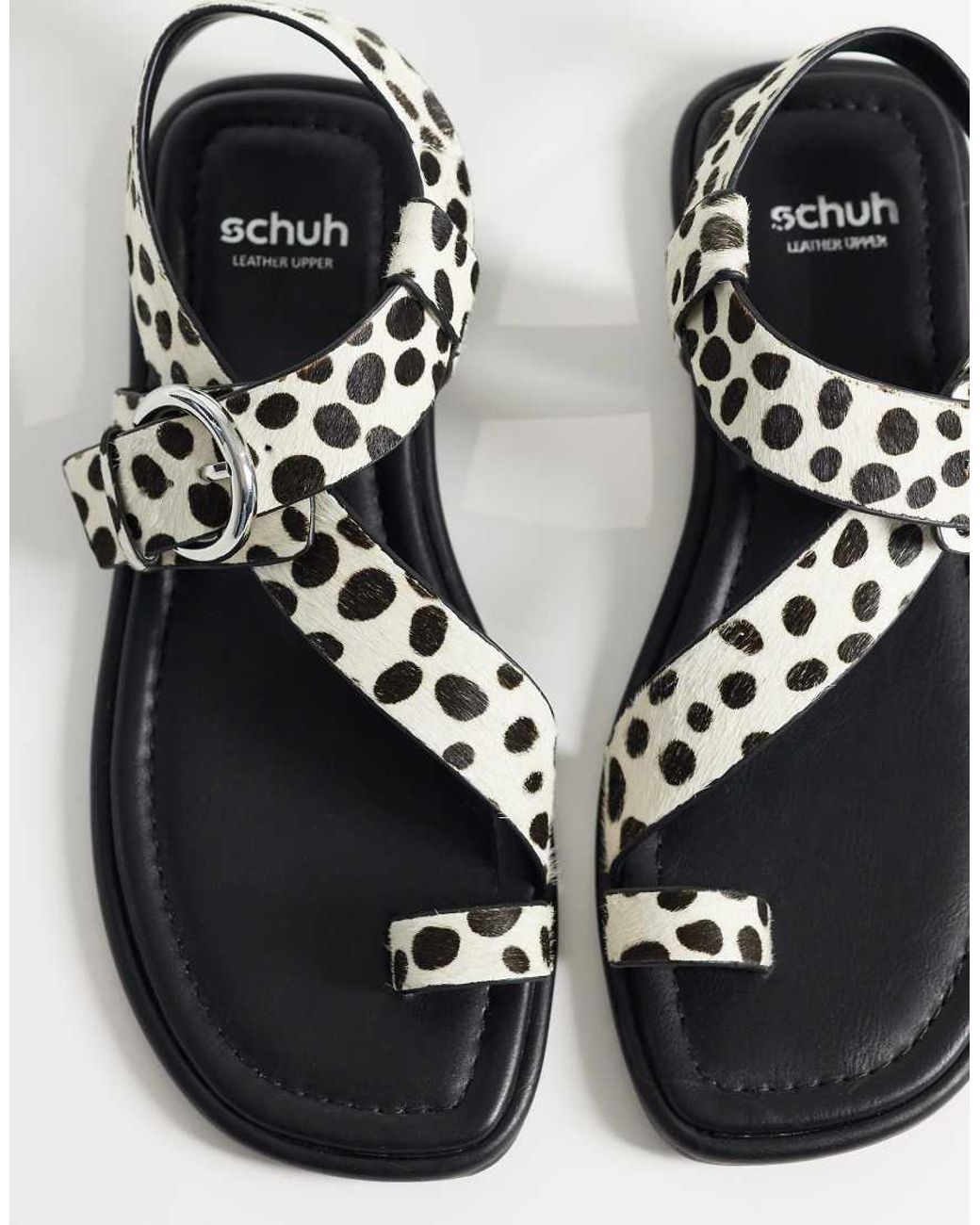 Schuh Multicolor Tanvi Toe Loop Sandal With Ankle Strap And Buckle Detail