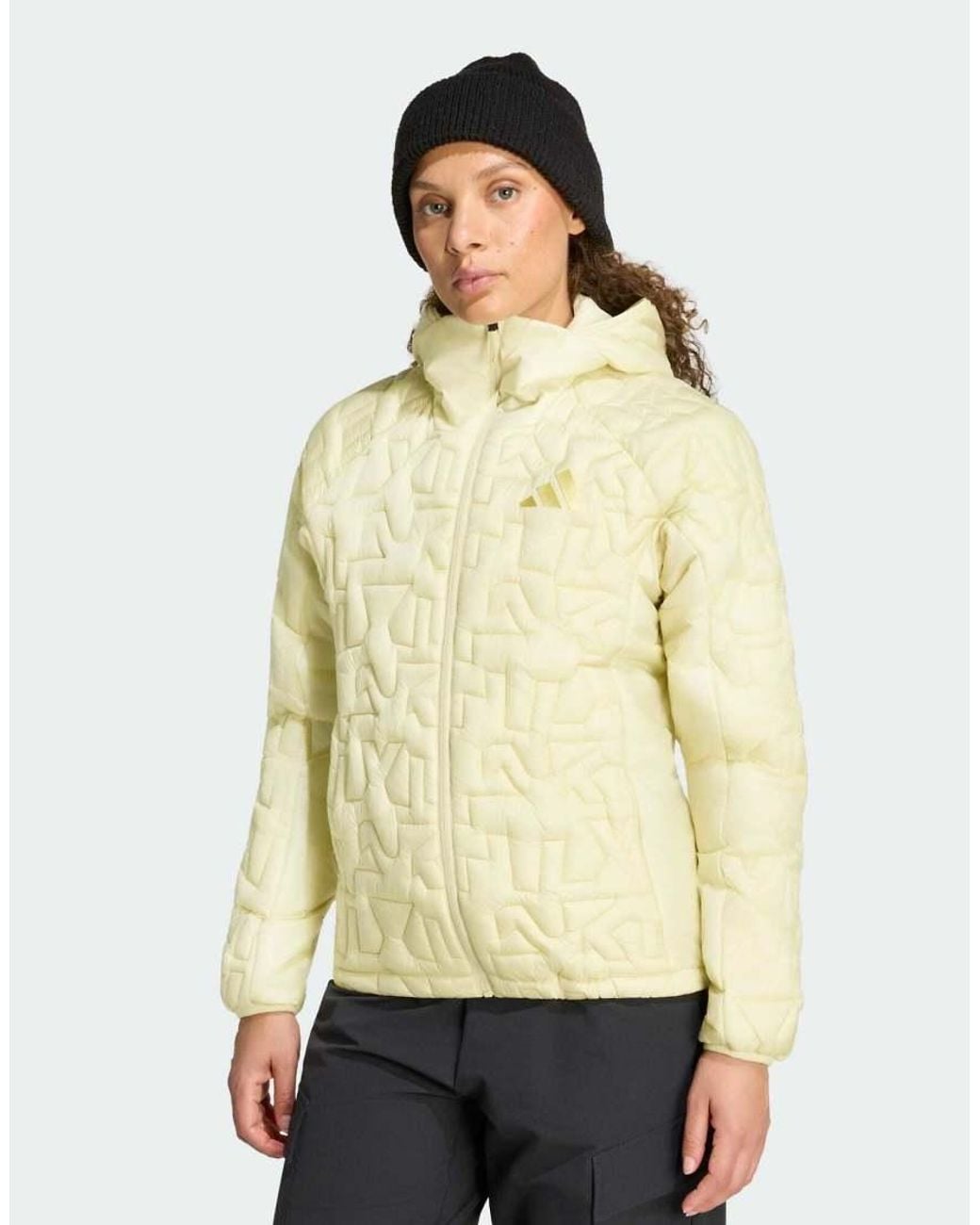 Adidas Originals Natural Terrex Xperior Primaloft Loose Fill Insulated Hooded Jacket