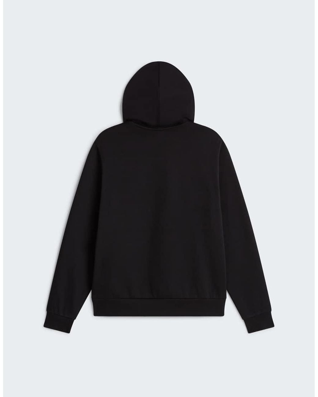 The North Face Black W Evolution Simple Dome Regular Hoodie