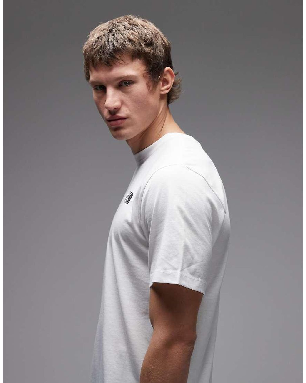 The North Face Gray Monte Backprint T-shirt for men