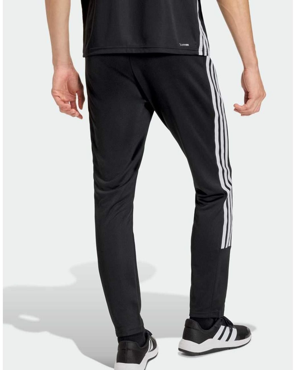 Adidas Originals Workout Essentials in het Black voor heren