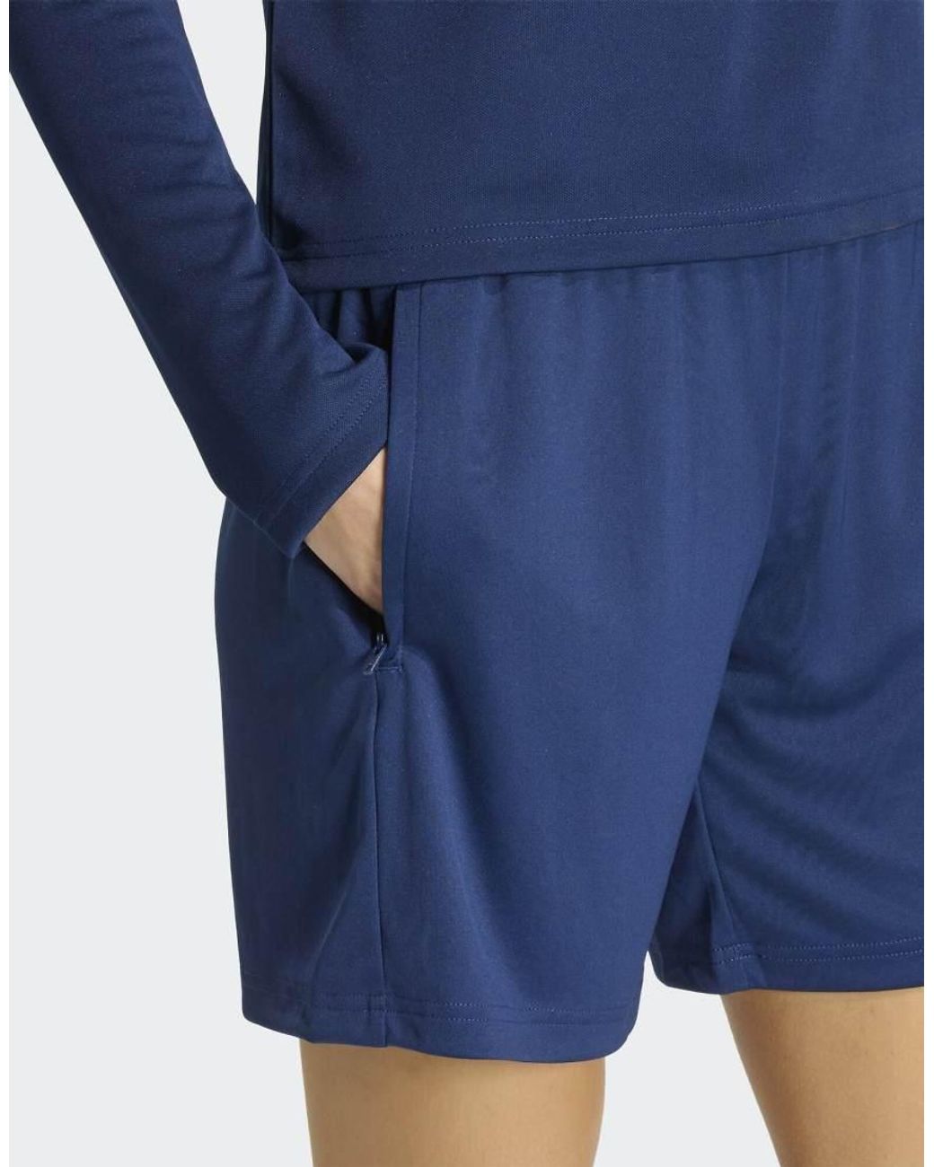 Adidas Originals Blue Entrada26 Training Shorts