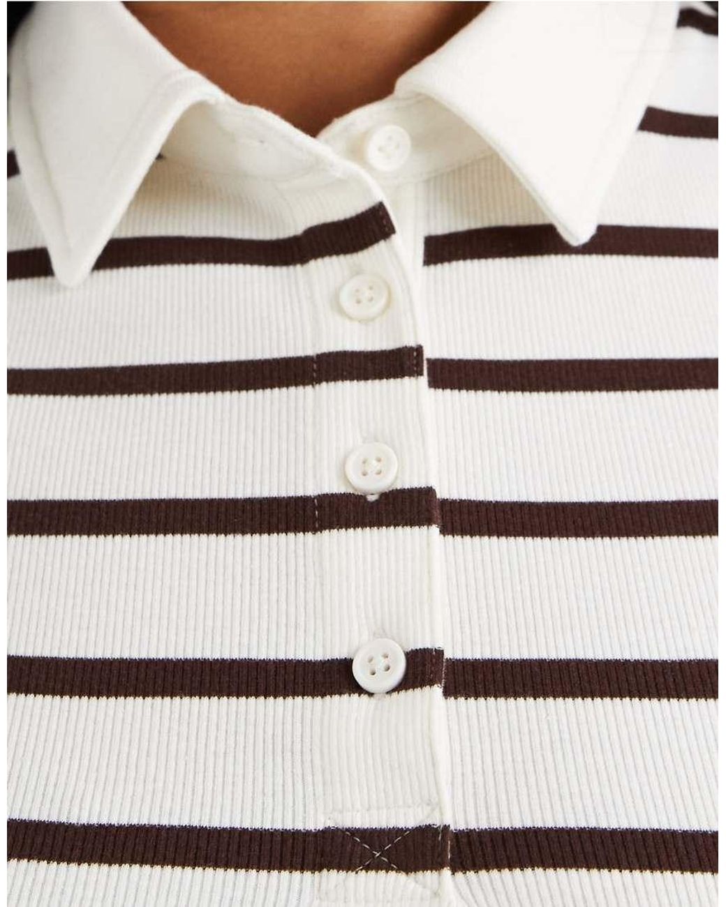 ASOS Multicolor Asos Design Curve Ribbed Shrunken Polo Top