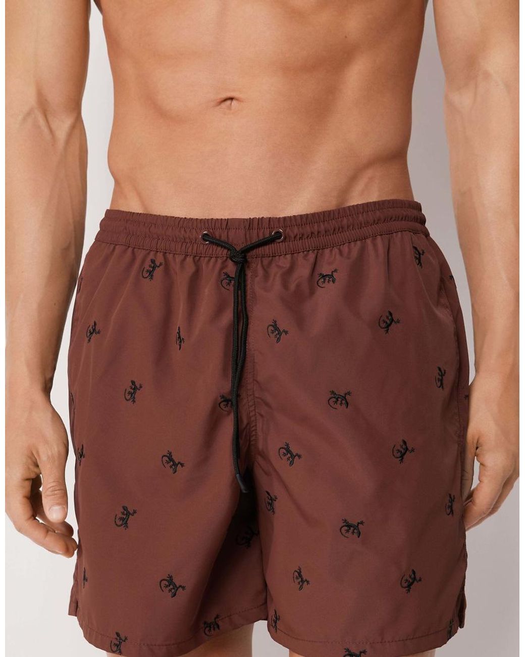 Calzedonia Purple Pattern Swim Boxer Formentera for men