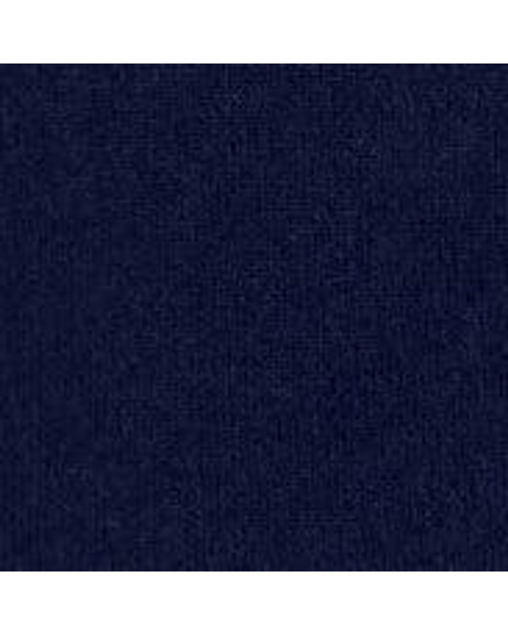 Polo di Aspesi in Blue