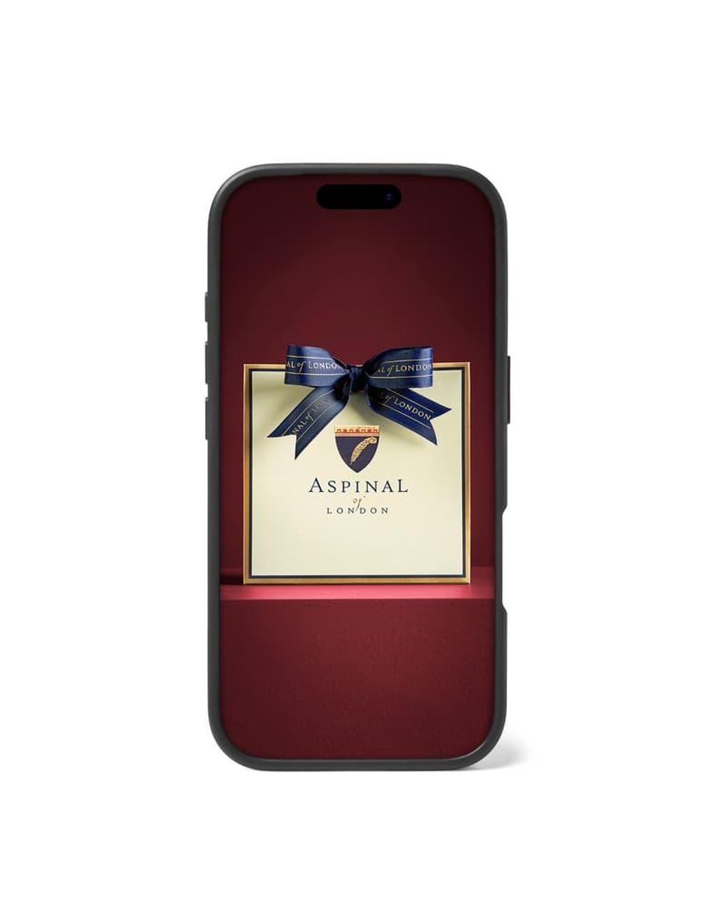 Aspinal Black Iphone 17 Pro Case
