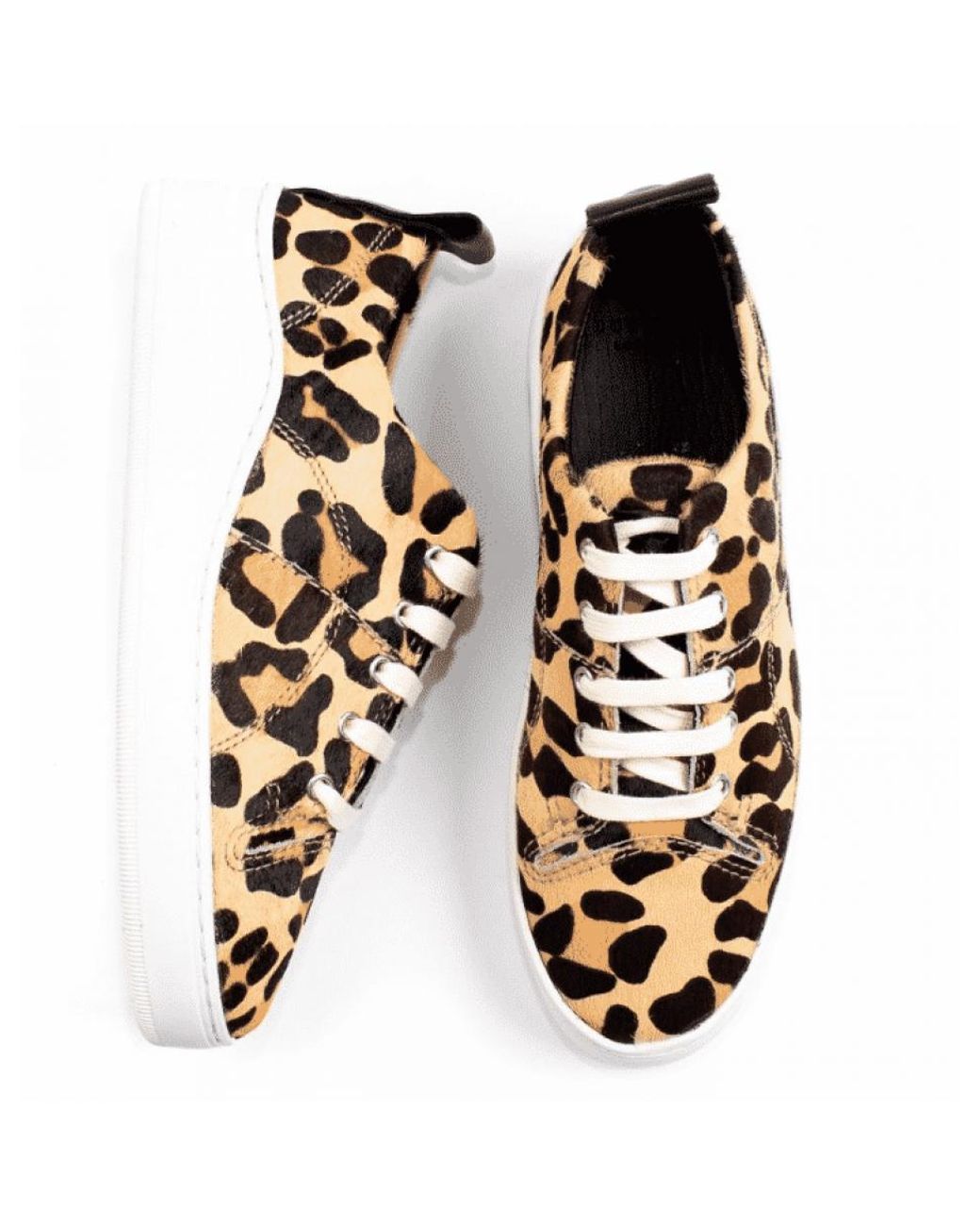 h by hudson trainers